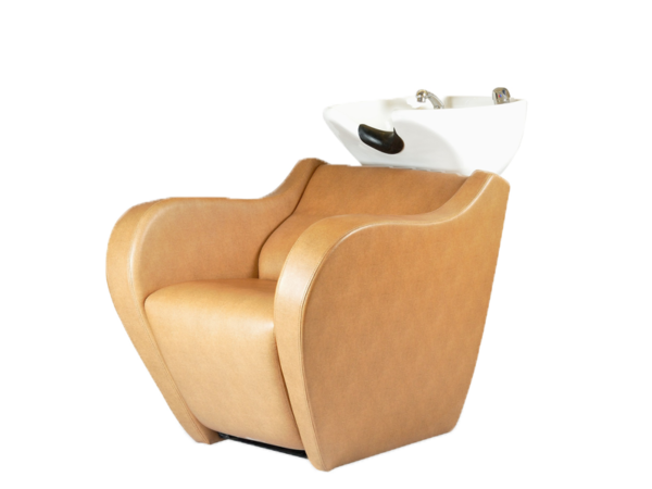 Comfort Hair Wash Station