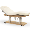 Tejas Electric Spa Massage Table - Image 6
