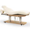 Tejas Electric Spa Massage Table - Image 5