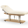 Tejas Electric Spa Massage Table - Image 4