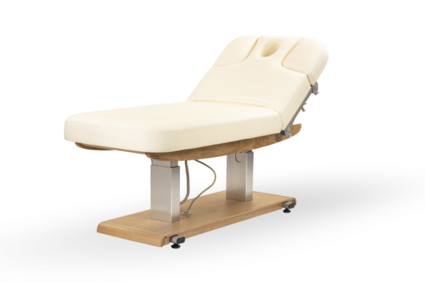 Tejas Electric Spa Massage Table