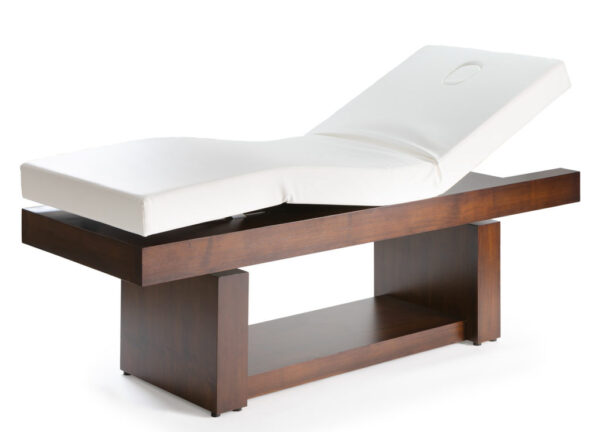 Manak Electric Spa Massage Table