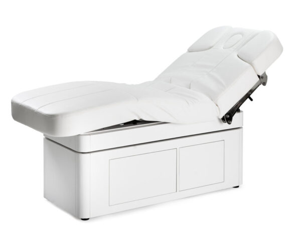 Mudra Electric Spa Massage Table