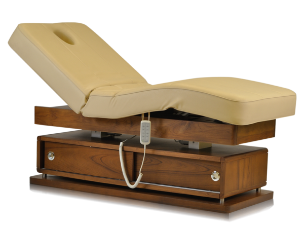 Mudit Electric Massage Bed