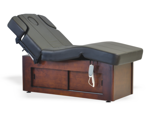 Raman Electric Spa Massage Table