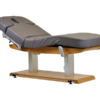 Tejas Electric Spa Massage Table - Image 2